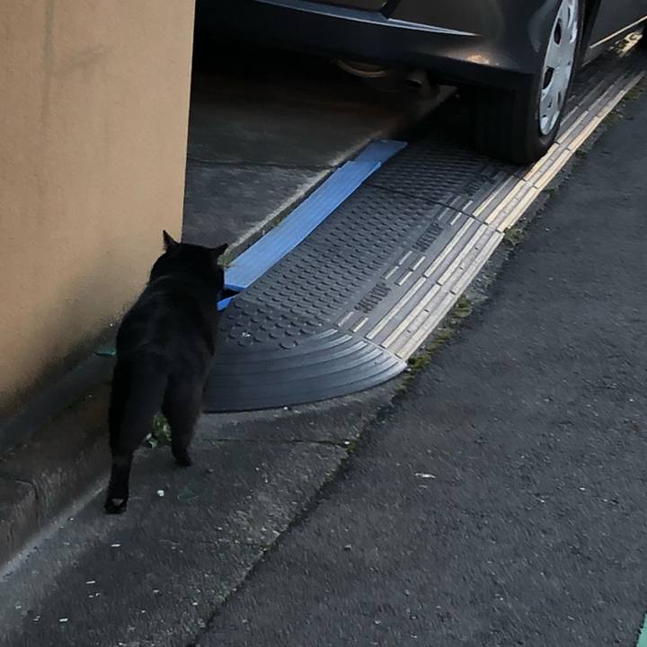 134fb803 f32c 4b54 beaf 174c324167c5 1547988418669