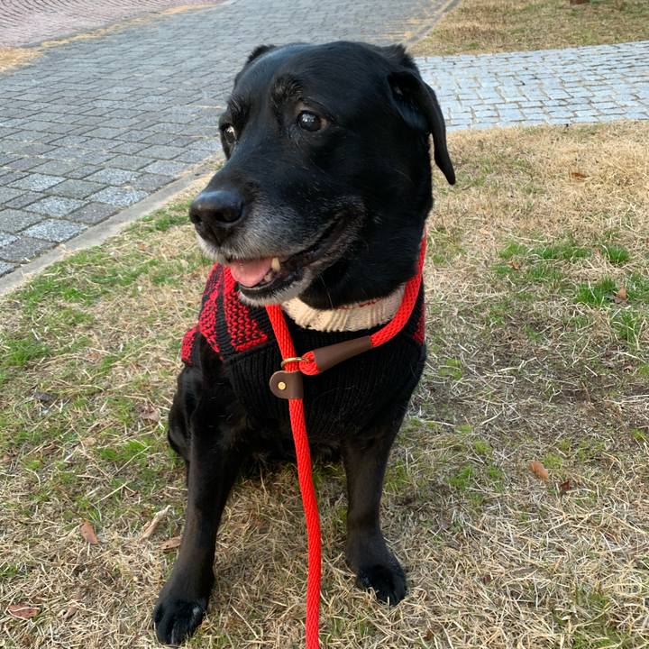 134fd878 c53f 496c 9dff 1c112b23112f 1581056691433