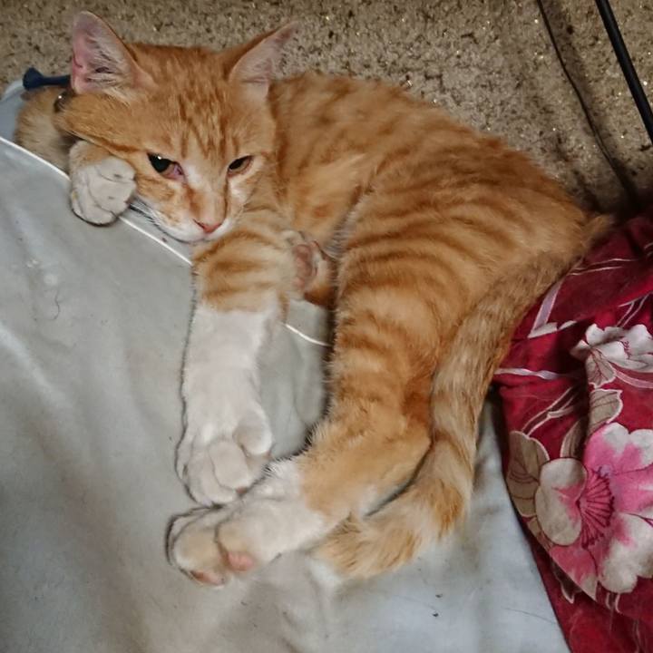 134ffc7f 0022 48b0 8c3a 3b51b12bd9bd 1560511899326