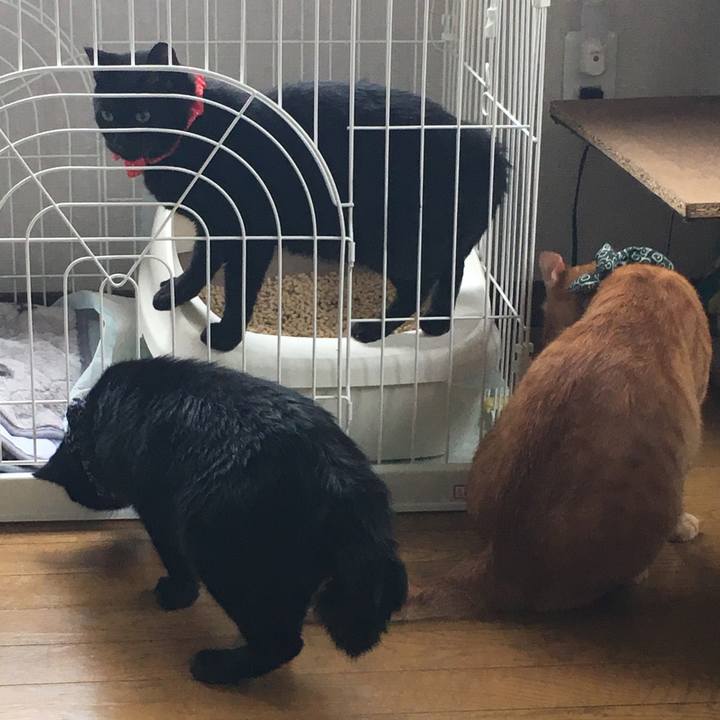 13504d12 a06e 4131 b13a 952a1aef1d2f 1537755153728