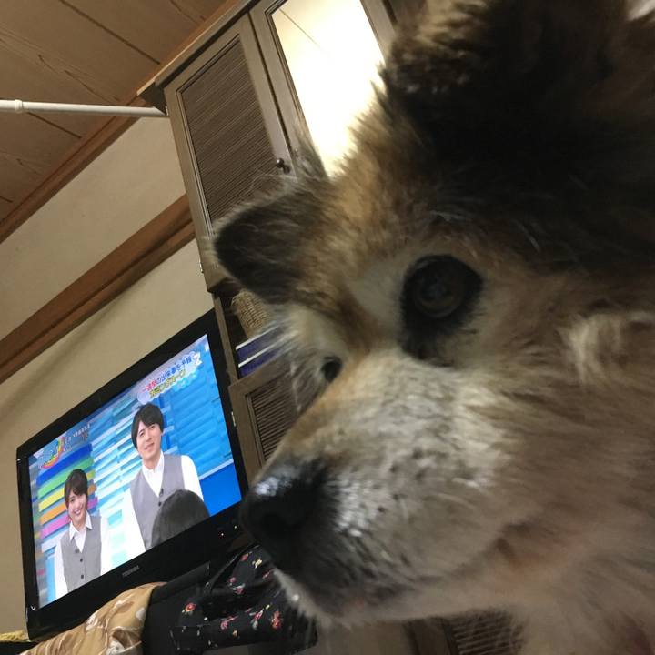 13505084 56cb 4de1 816a bebe1a68edce 1566176342451