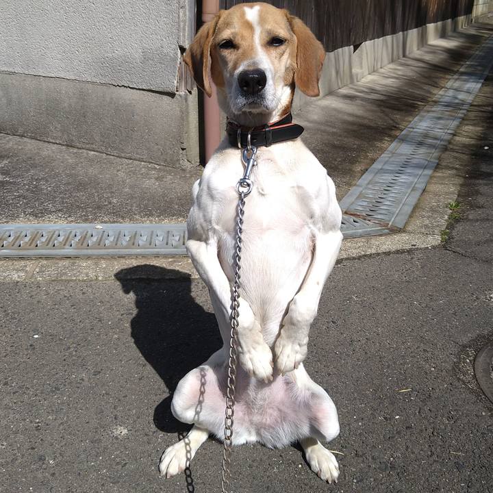 1350682c 8763 4ee7 b089 4827dadbb9a9 1647237293436