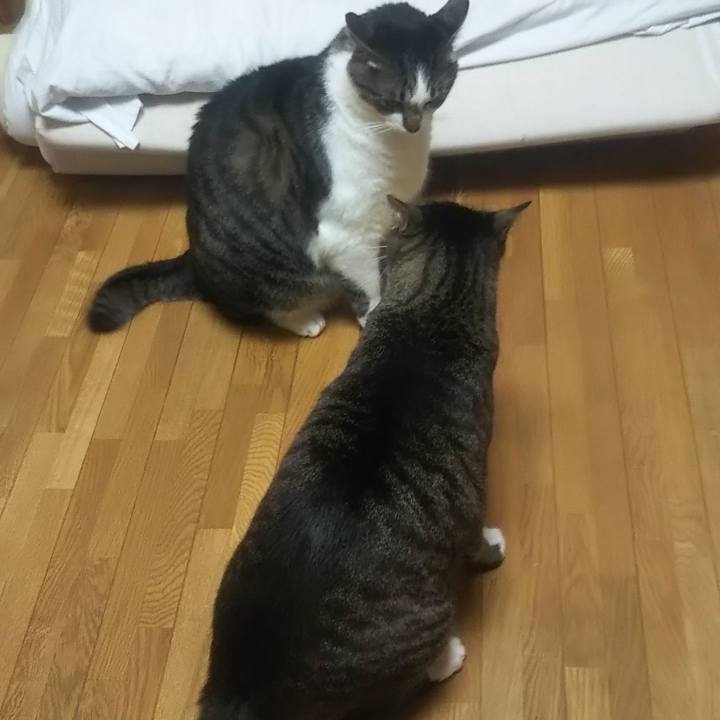 13507089 79ed 4287 8553 ad0ff11ac132 1631608365156