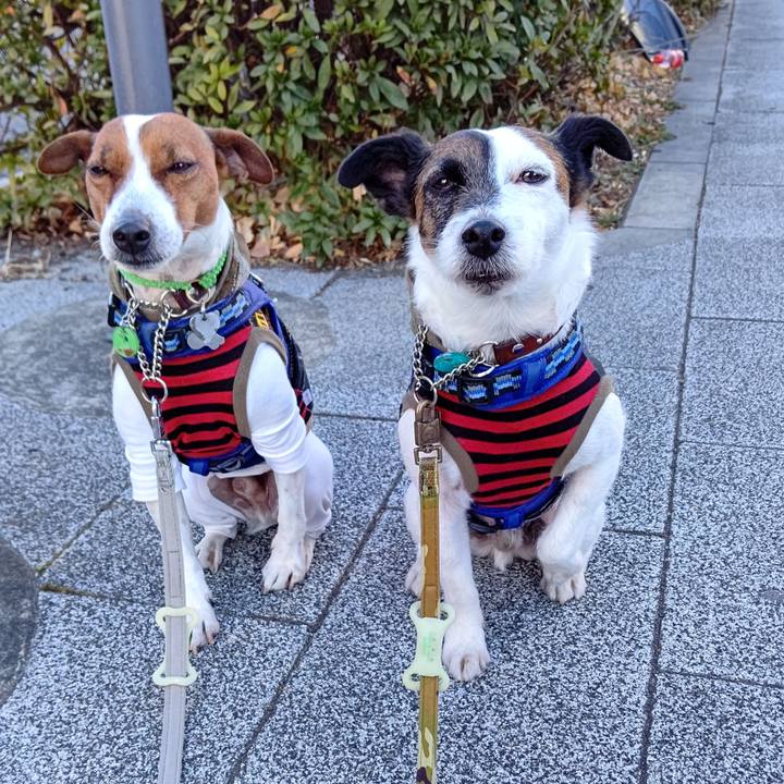 135074fd 6c06 41d8 bd73 f7348387549e 1644017713656