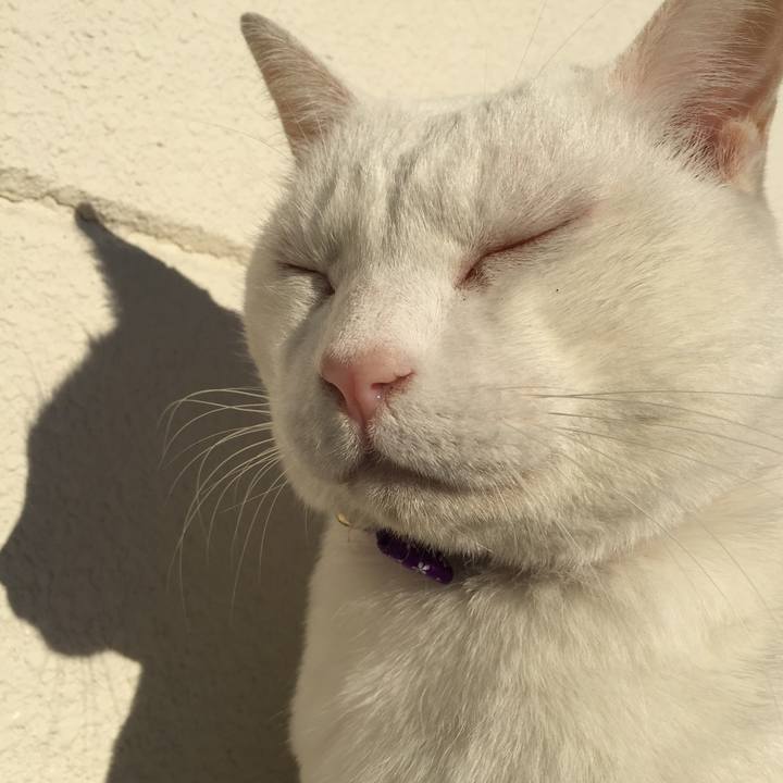 1350a1c3 387e 4393 95e1 080041f3419c 1546652053869