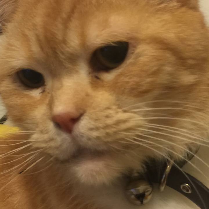 1350c776 8ec7 4183 8072 b77d027da857 1556119776773