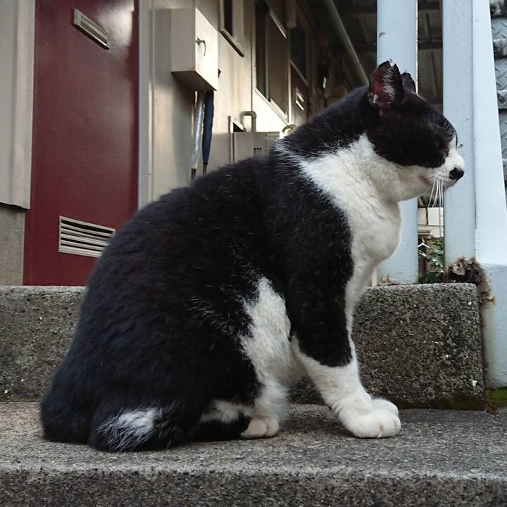 1350e125 9587 4f59 878e eab2b75ee6a7 1663069052279