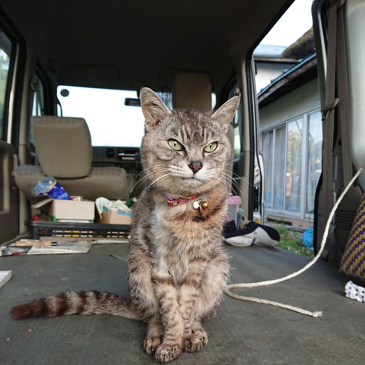 1350fb5a d050 45ef b5e2 41c489daa340 1593029544401