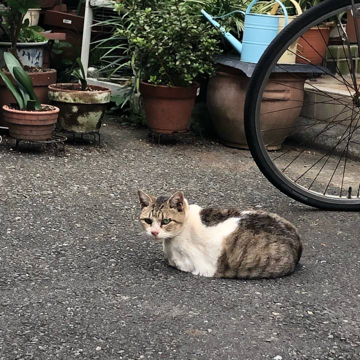 13510afa 4895 4a56 b4b2 a74130a941c6 1569075407636