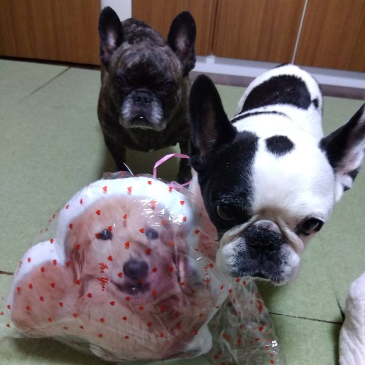 135169ee e5ad 4271 913f 68b4f22c12fd 1728305390505