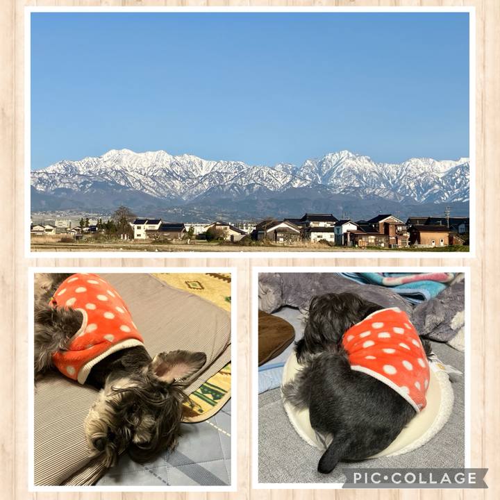 13518ddf c9ee 4b0b a342 cd86fbbd5d3a 1711768681474