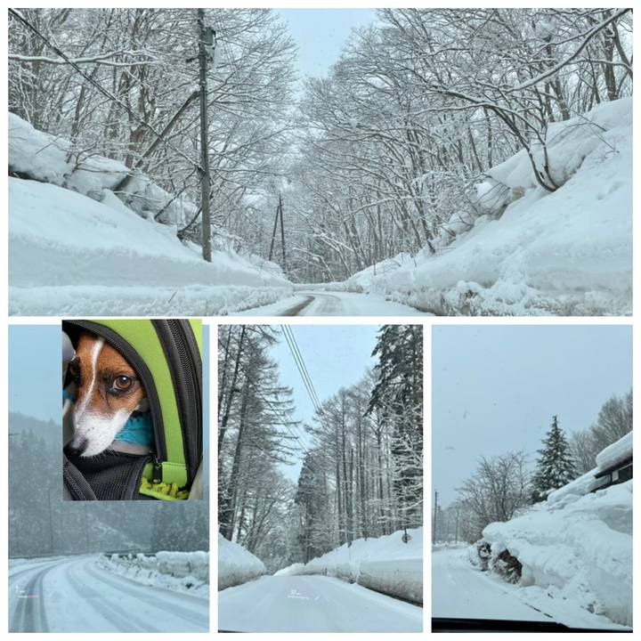 1351a00a 08c2 4d82 ba88 c565ba3f48cd 1645094171191