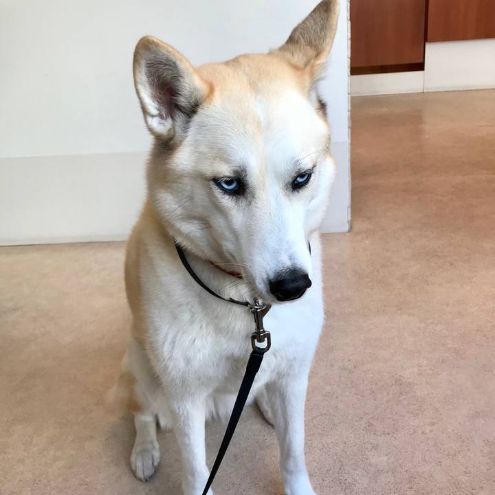 1351a1d3 a3bf 4376 b411 eb8efd0690d8 1518138096504