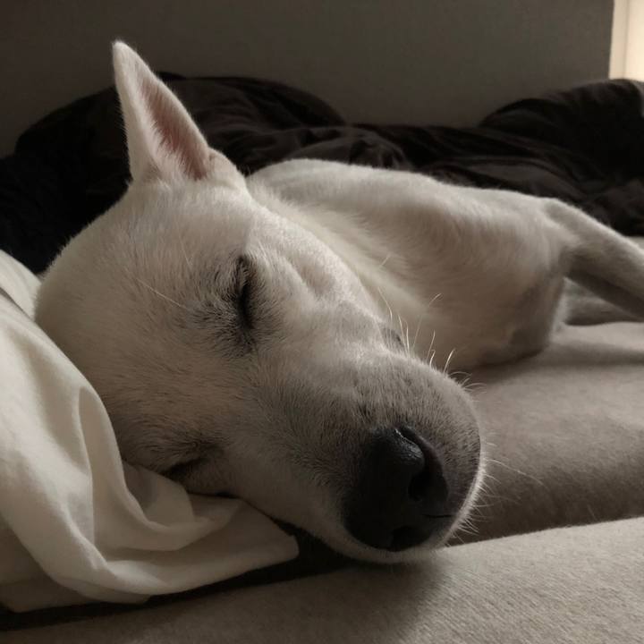 1351a600 327e 4c40 ae6b 2925b4fa9c80 1539145799040