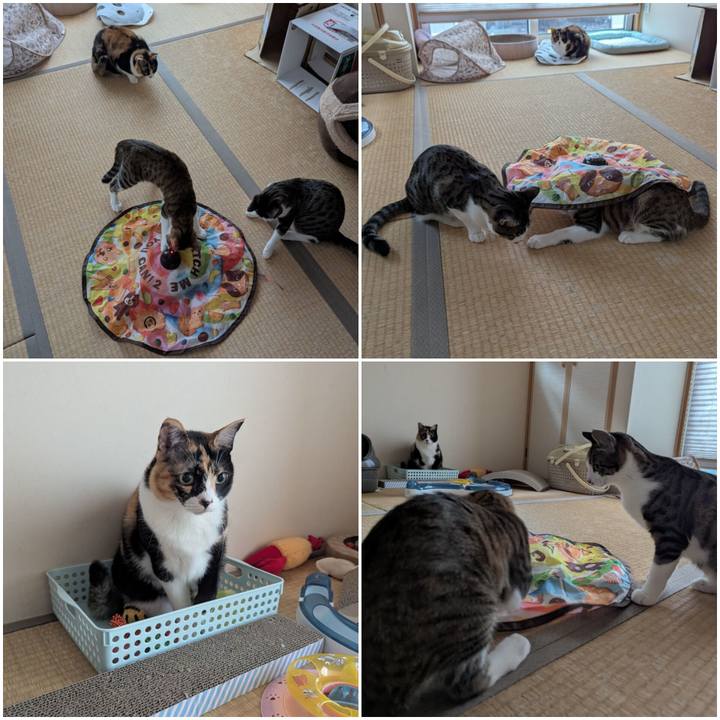 1351ad1f 3f68 4087 85a6 0d8b1f569f5f 1735433173488