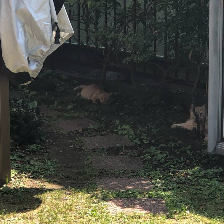 1351dd4b eefc 40bd ba96 a76fa810e099 1588387188175