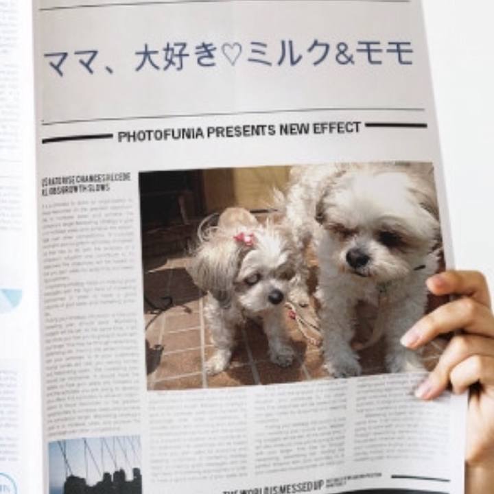 13526af3 45aa 43ca 9cd2 b29d4881880c 1539527539111