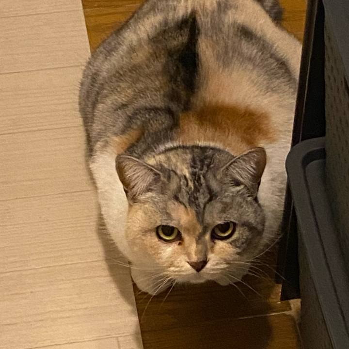 135278a9 3630 460b b51b 64ec2b234fd9 1646404265902