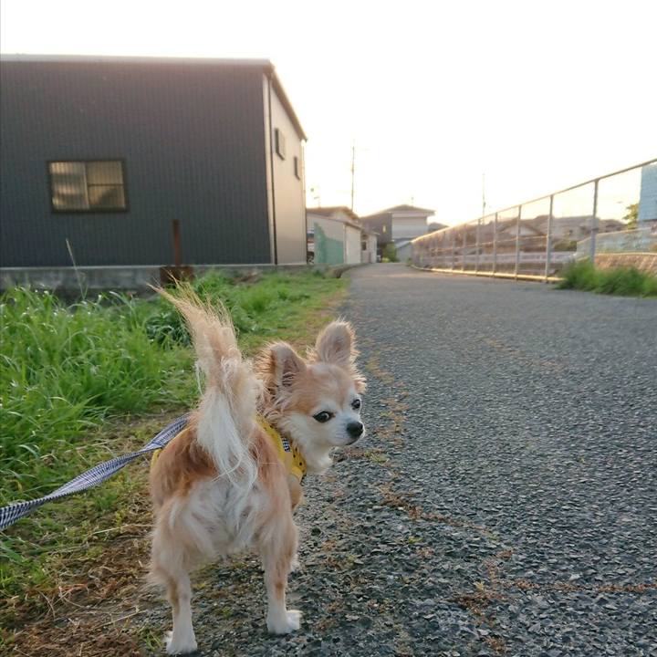 1352bb94 6819 43aa a77d b6207df20784 1542713357031