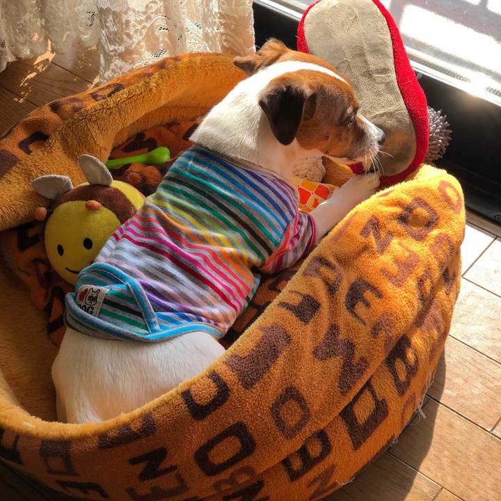 1352d8c8 ff16 4c8f bbe9 44519c9eede7 1523575802946