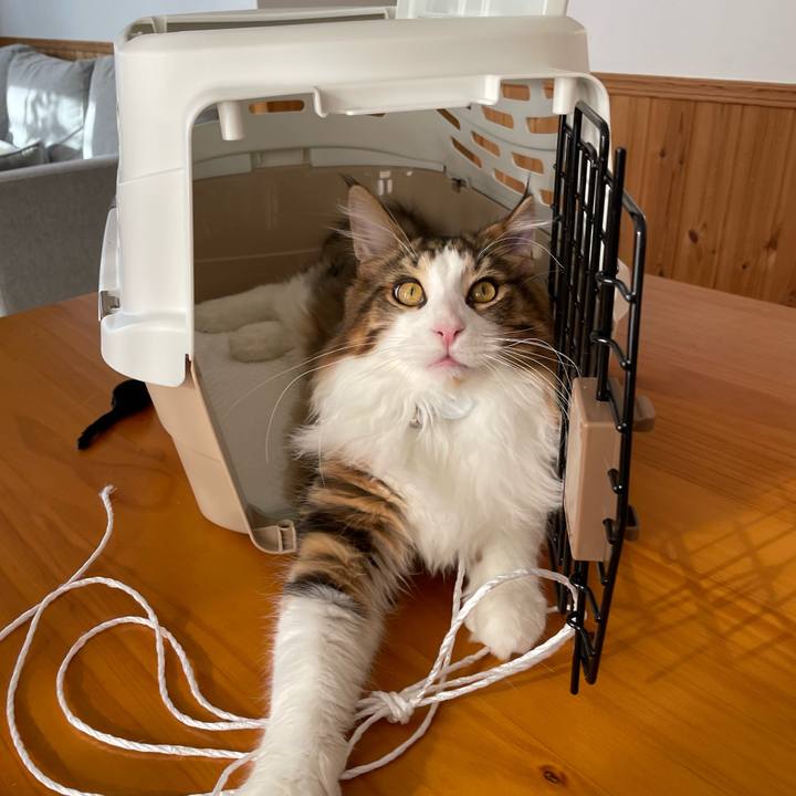 13536cd0 479f 4be7 acf6 22200d3a0dd7 1641779681835