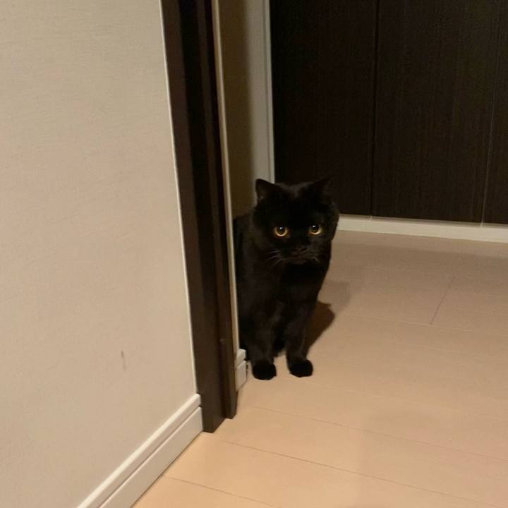 1353b1f4 8302 4c02 8543 c0b1064af294 1702648072210