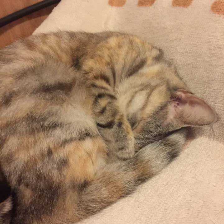 1353f5be 0d9c 453e 96b1 c3bfb886548a 1575204448601