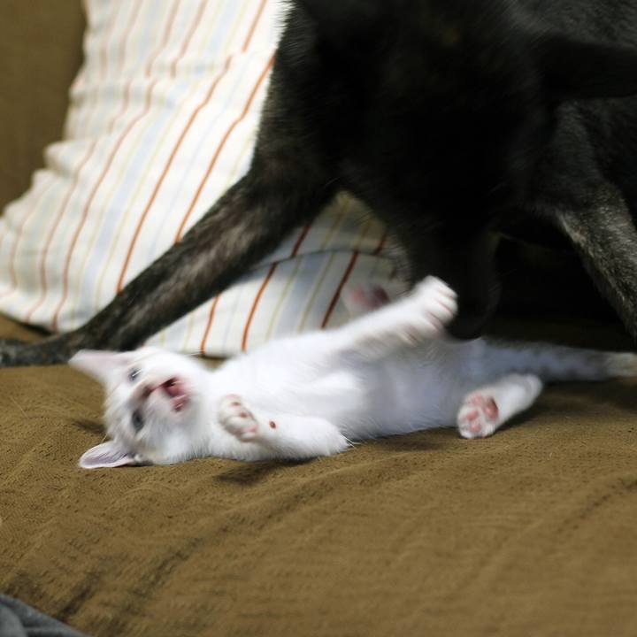 13544ae6 e3ac 4570 a3b6 4146a58ae518 1598916328389