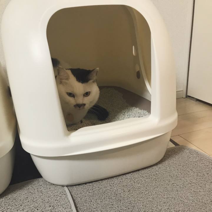 13545aa2 bed0 48cd a90e ea40728f8e08 1545113924326