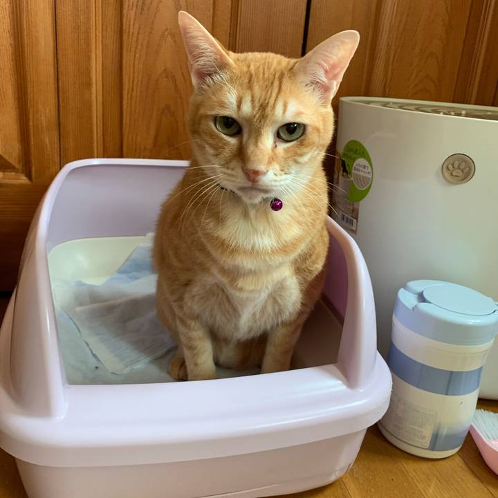 135467a5 069f 46f5 83a1 10f6324a5cca 1589020989011