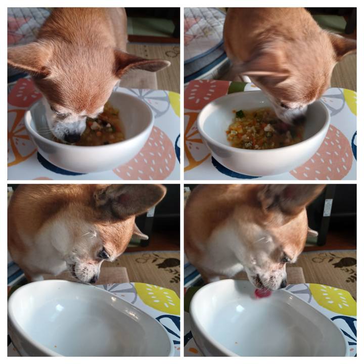 13549798 b629 47c3 842e 78bdb28df7bf 1752010025633