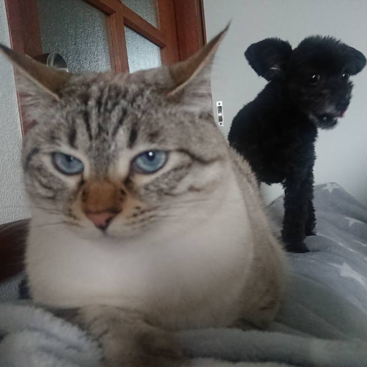 13549df2 945f 4618 a4a5 16ad1ccb9fda 1560247561890