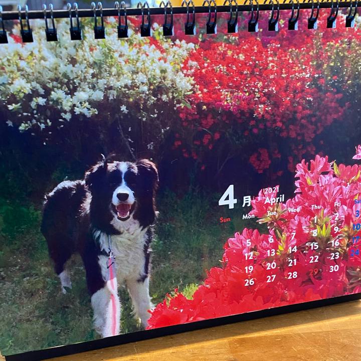 1354d1db e049 45df 86bf e5e0dac7f7db 1617234964155