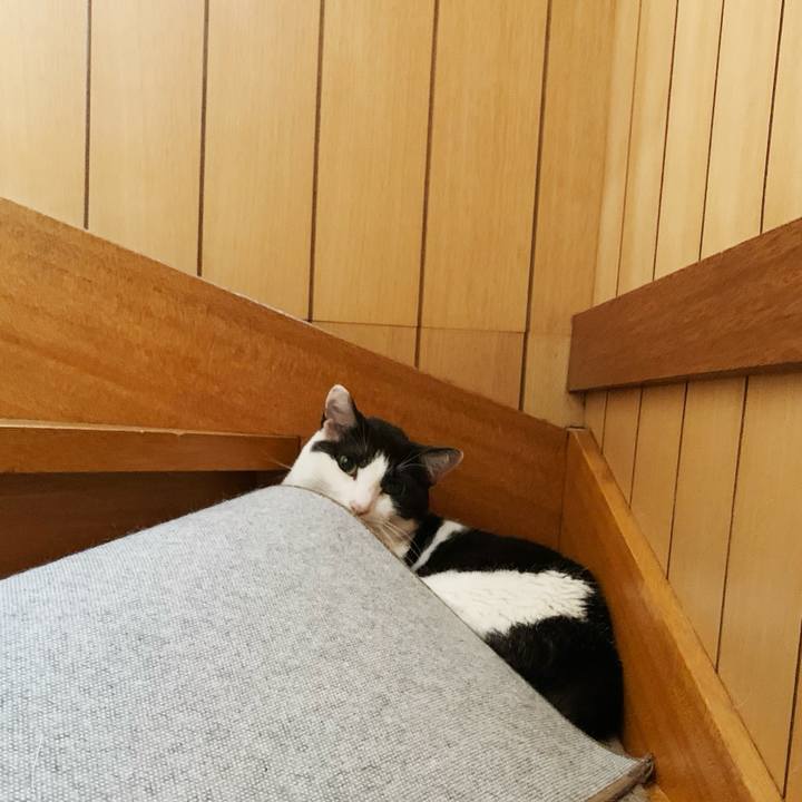 1354ecdd 0698 429a be1a 087e4c486cdc 1597196983139