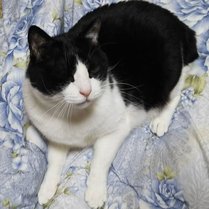 13550655 756a 4b05 b59b 7cae9e2d8eca 1550787823502