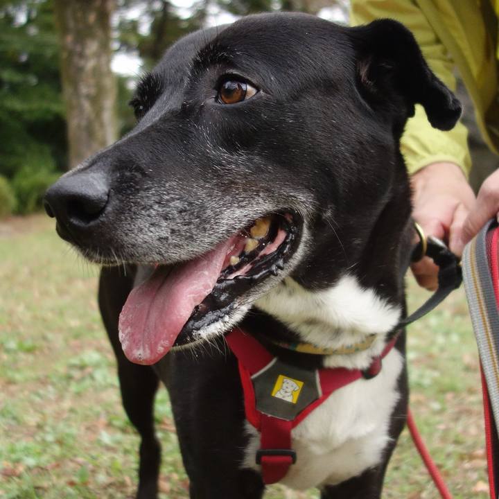 1355127f dd06 4d45 b5df 86aff7c8159b 1699578819225