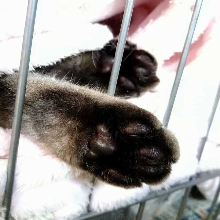 13551aa6 7cce 42b8 85aa 22b1b59cc46e 1658979623604