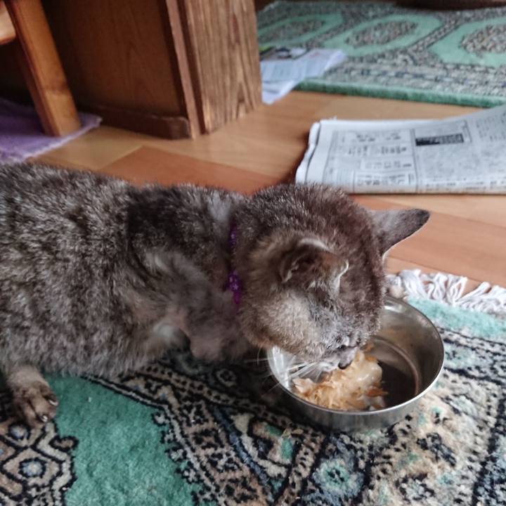 13552a5a 5ff1 40c8 a299 4df916509fdb 1597440871816