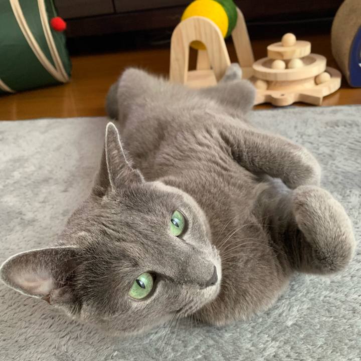 135543e2 7225 4453 b6df cbdc86b417ad 1662422281388