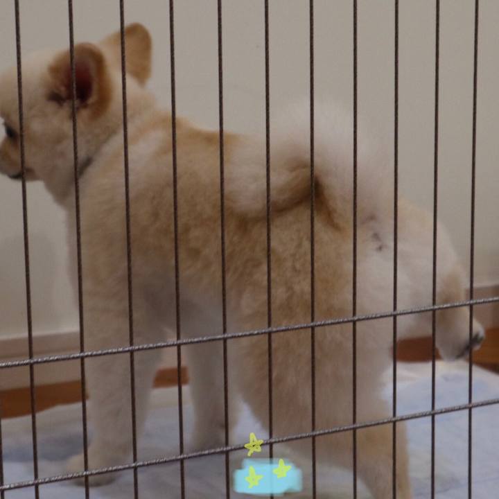 1355666d 4fd2 4994 b27d 888eda6695de 1597383316280