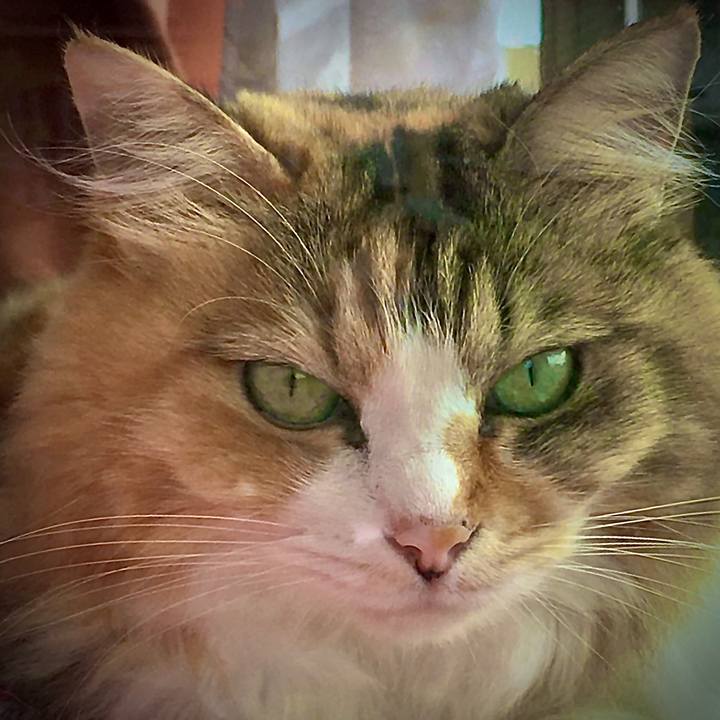 1355962d bc71 45aa ad82 029552c8eb56 1600933703188