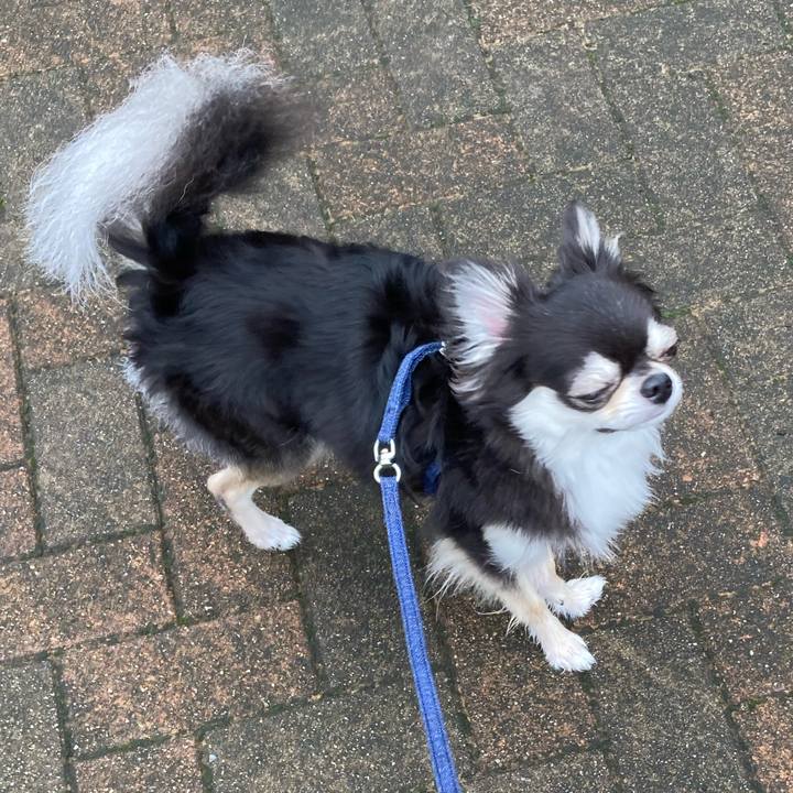 135621ee 8d07 4345 98ea cb0f54d1d6bd 1657943041372