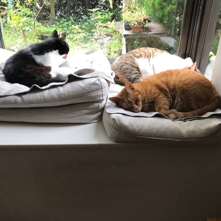 1356cd71 1a0e 4eb4 b4fd e7516dc5d06c 1525937132108