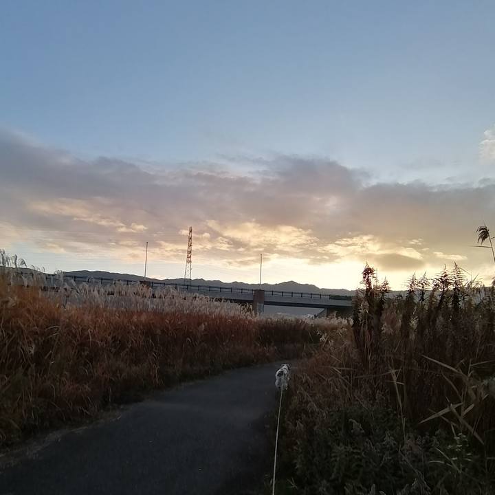 1356e097 966e 474e 91d3 312d0a98122f 1577146015553