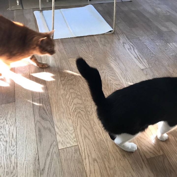 1356ffae 227b 44f6 8efb 3be5efe73d81 1653558088853