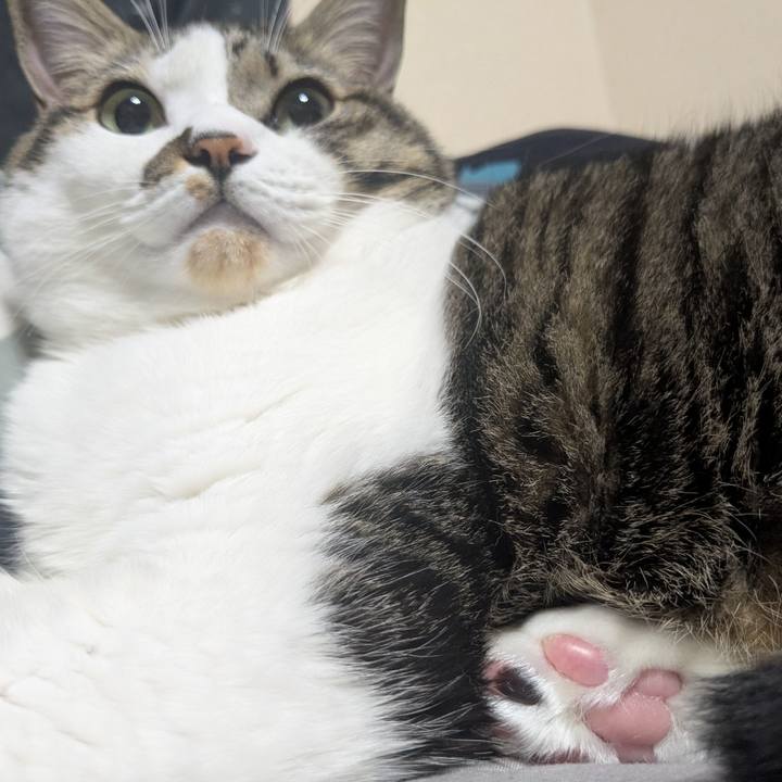 13576856 8c1d 4d5a 97d9 844a6c7f437a 1762126519725