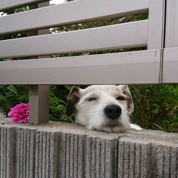 13577bed f89c 469f be58 bf4ecda02fba 1538955483528