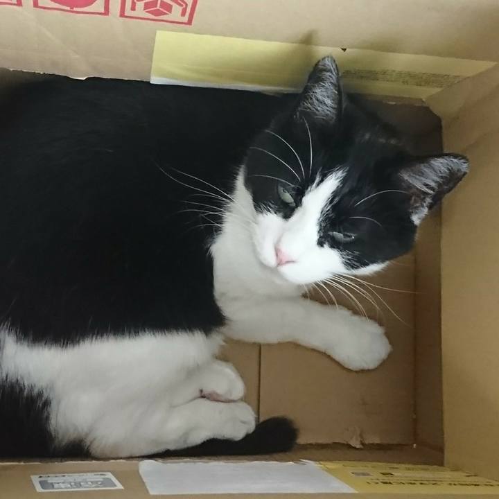 1357875e 4b0c 4092 a59b c66efae7b41e 1598434605423