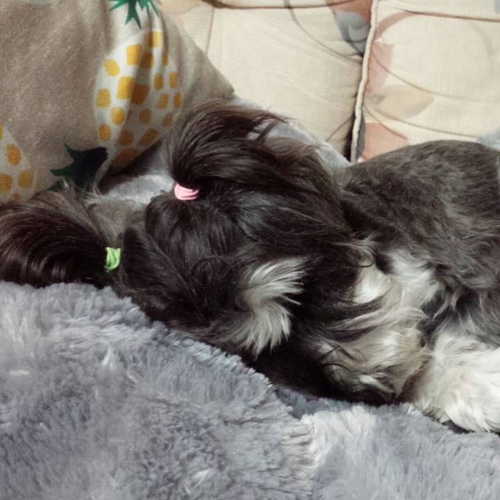 13580916 5c1a 4f64 9a98 93fcd3a2a9af 1509713243335