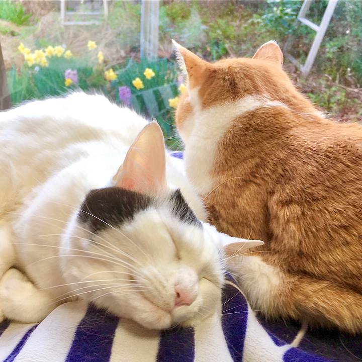 13583007 04c3 4d64 98ce f363419ea801 1585973511738